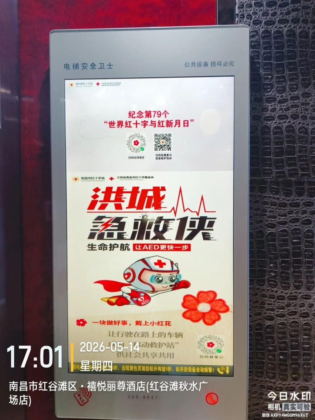 禧悦丽尊2.jpg