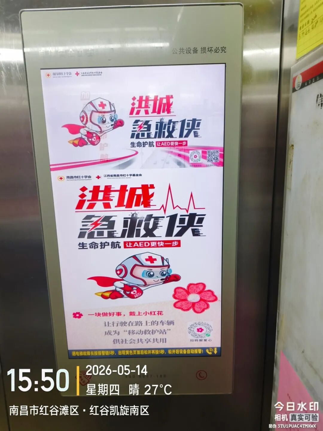 红谷凯旋3.jpg