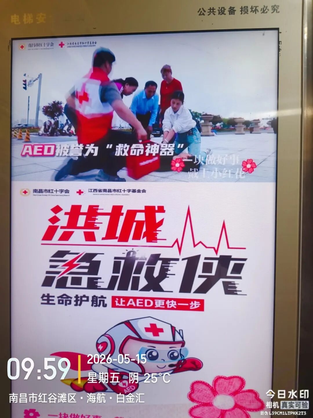 海航白金汇2.jpg